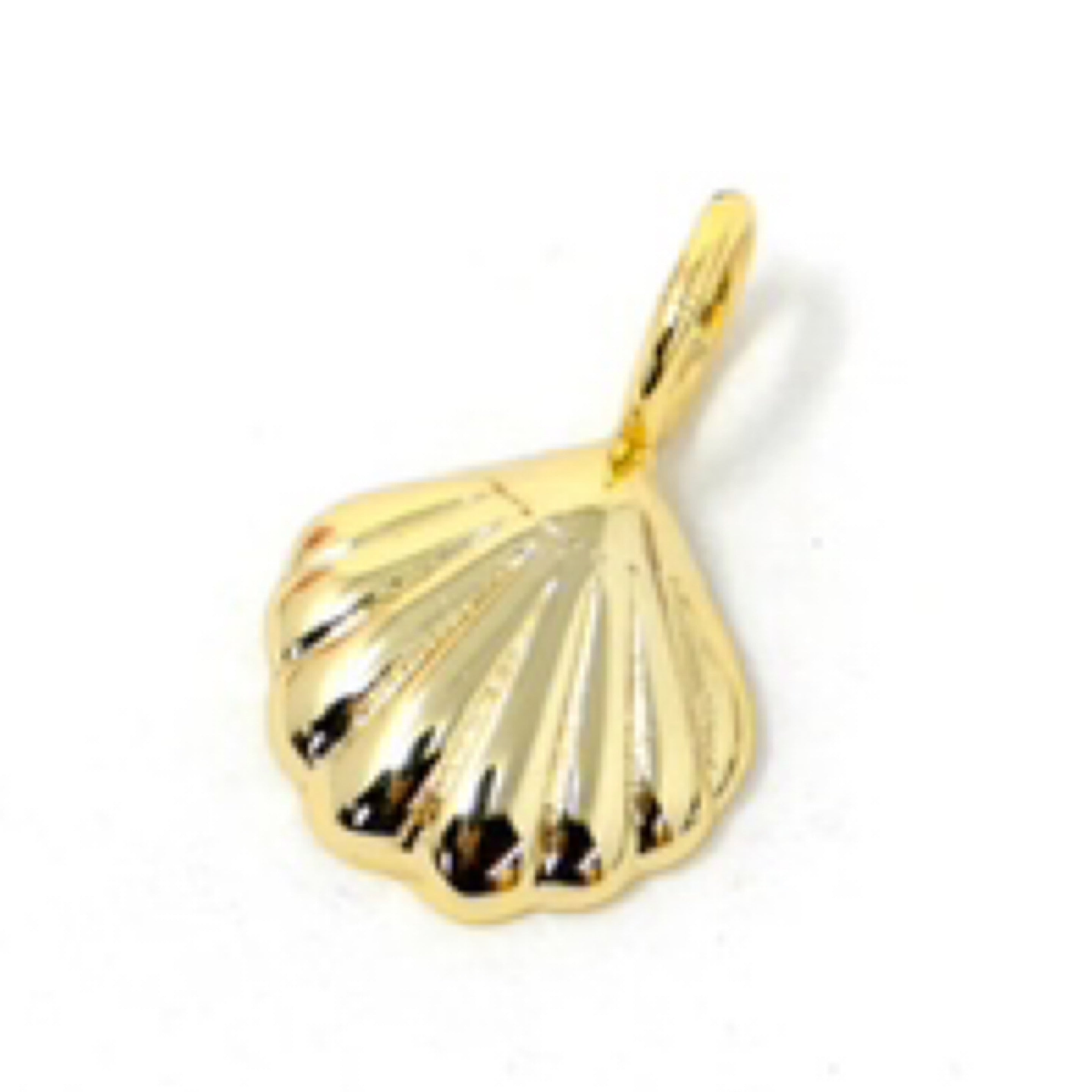 Sea Shell Charm