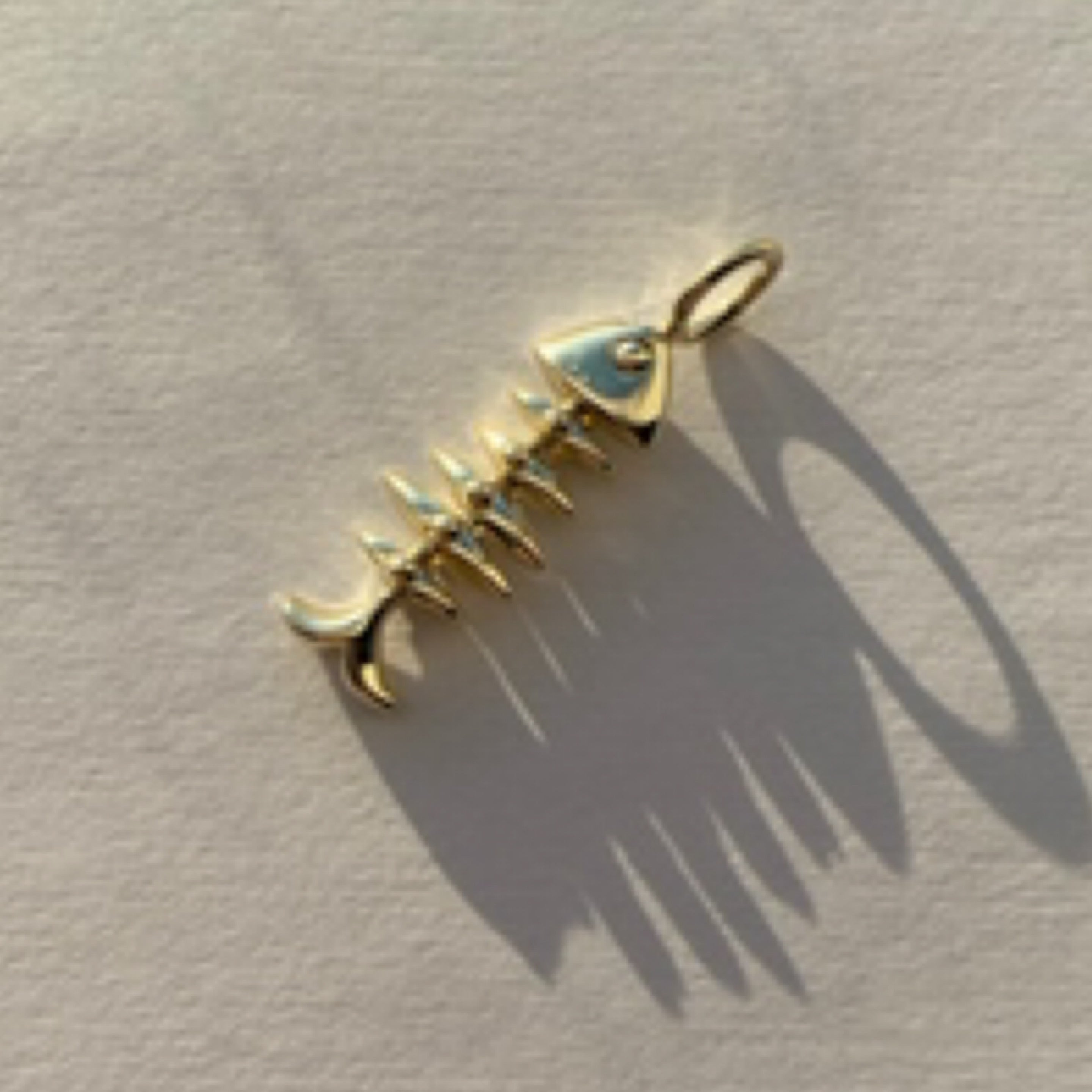 Barracuda Charm