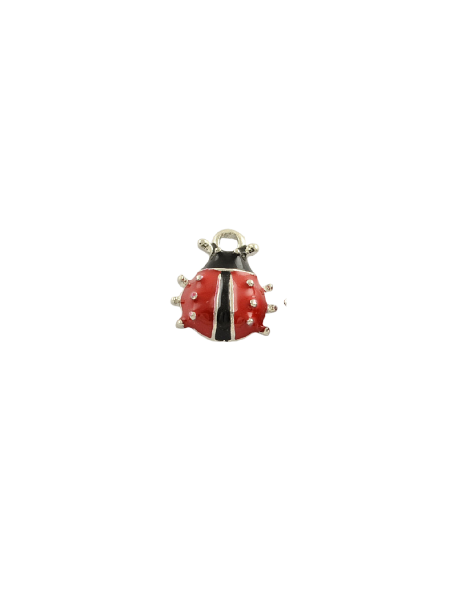 Front of the Silver Ladybug Charm