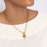18K Gold Stainless Steel Pet Charm Holder Necklace Gift Set