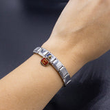 Italian Bracelet Dangle Charm - Horseshoe (Gold/Red)