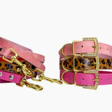 Personalized Pet Collar