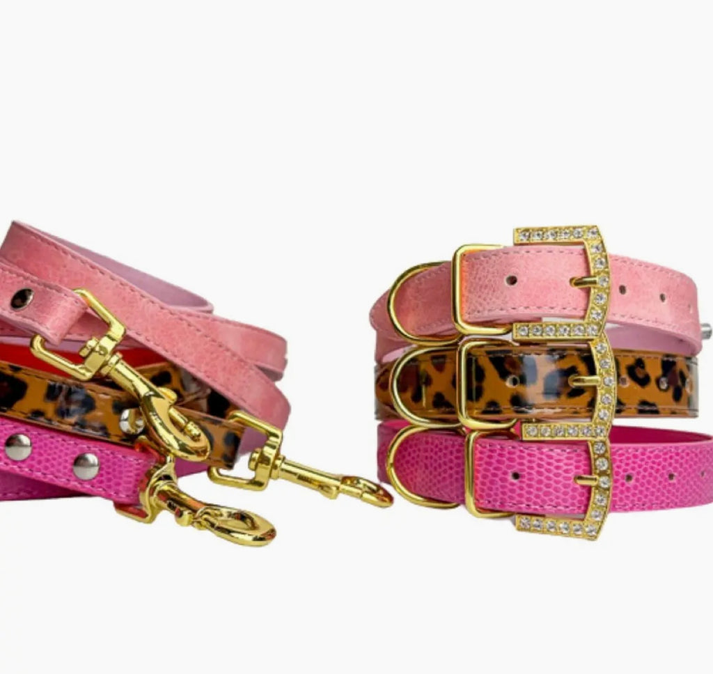 Personalized Pet Collar
