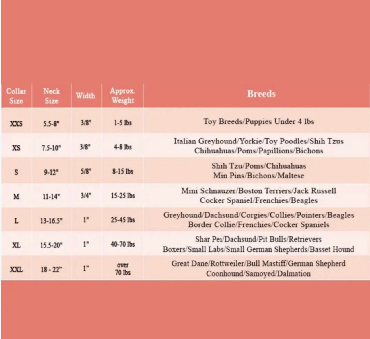 Personalized Pet Collar