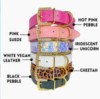 Personalized Pet Collar