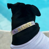 Personalized Pet Collar