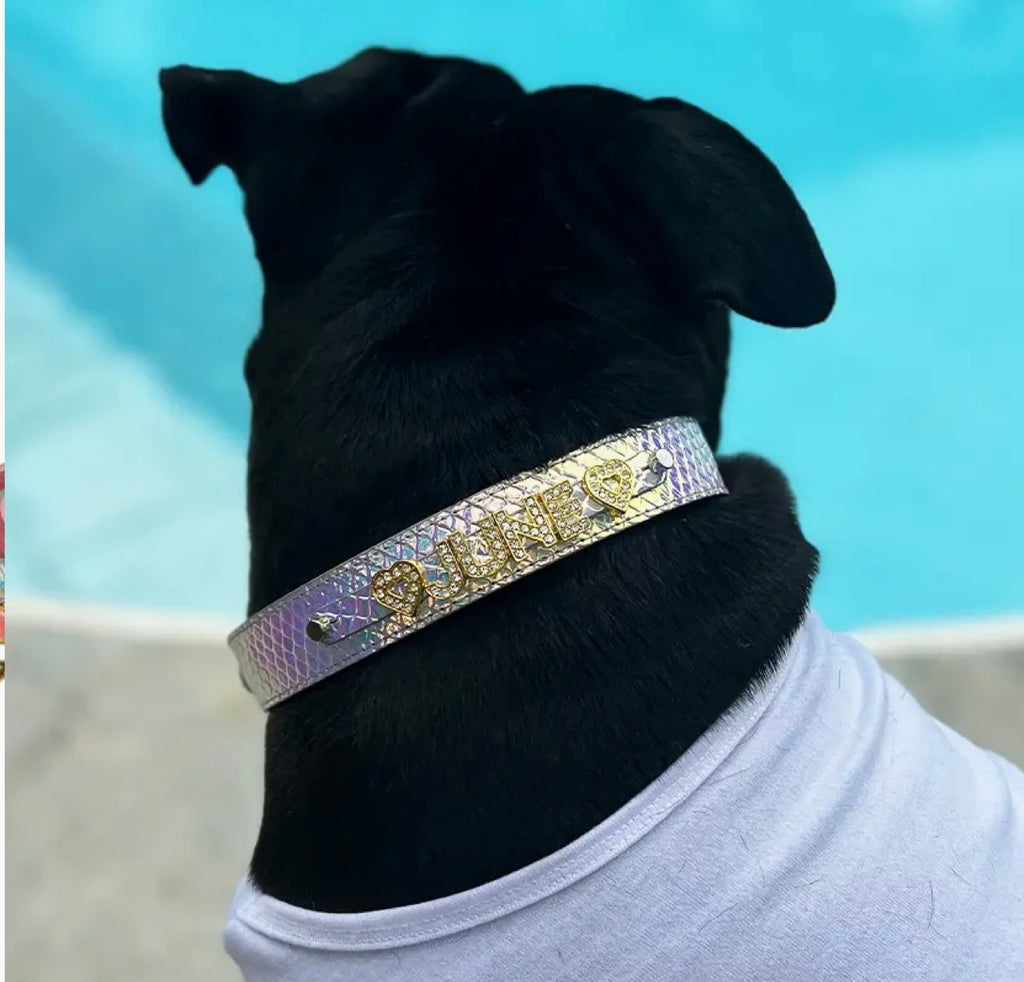 Personalized Pet Collar