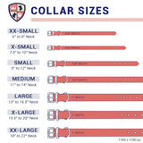 Personalized Pet Collar