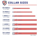 Personalized Pet Collar