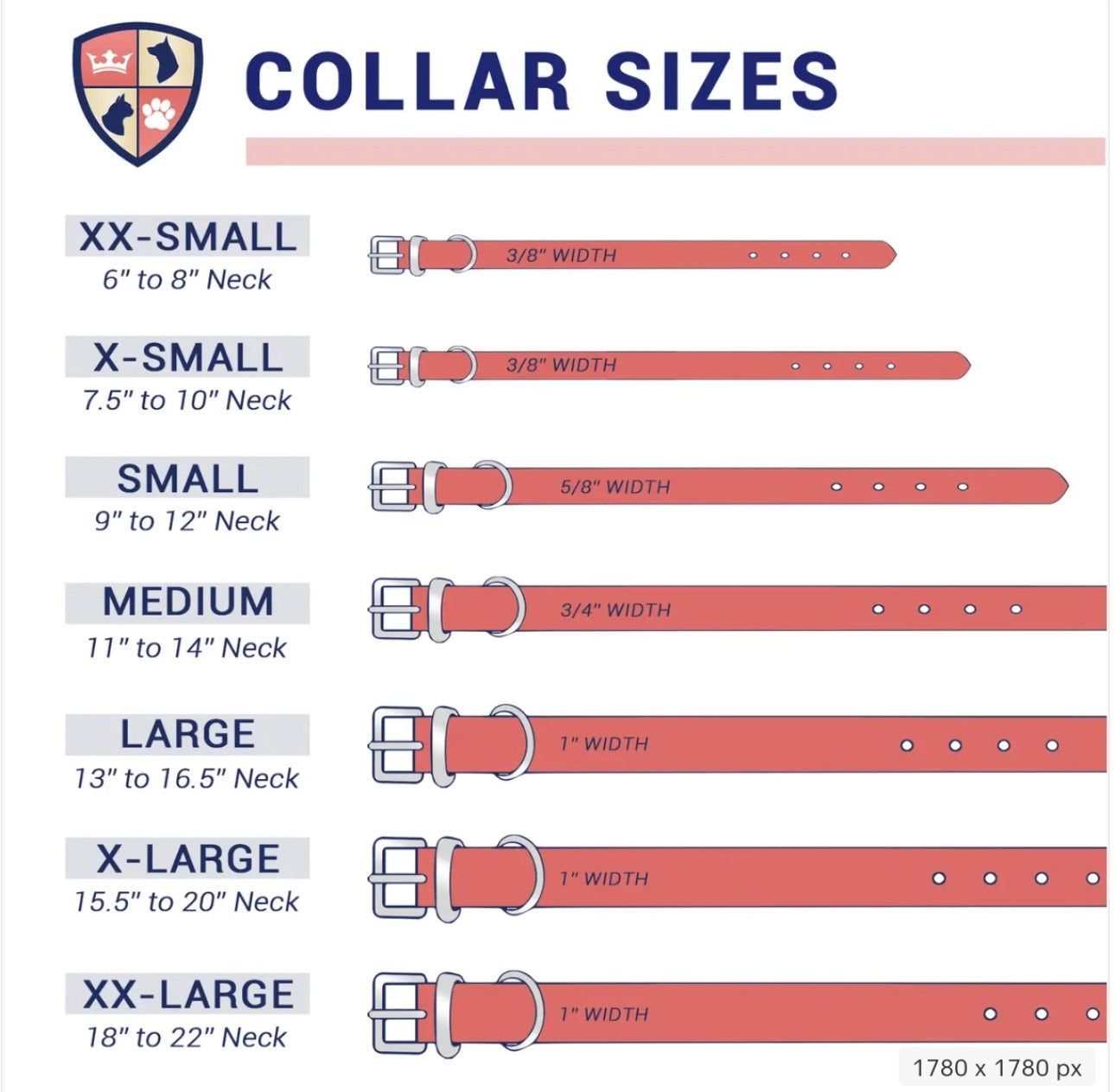 Personalized Pet Collar