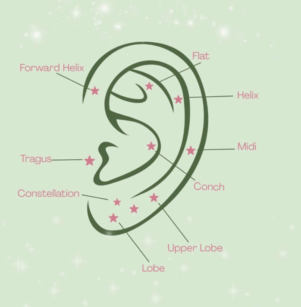 Ear & Nose Piercings