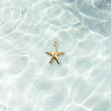 Gold Hammered Starfish Shell Charm | Waterproof Stainless Steel