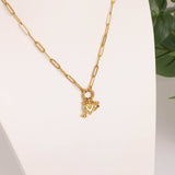 18K Gold Stainless Steel Pet Charm Holder Necklace Gift Set