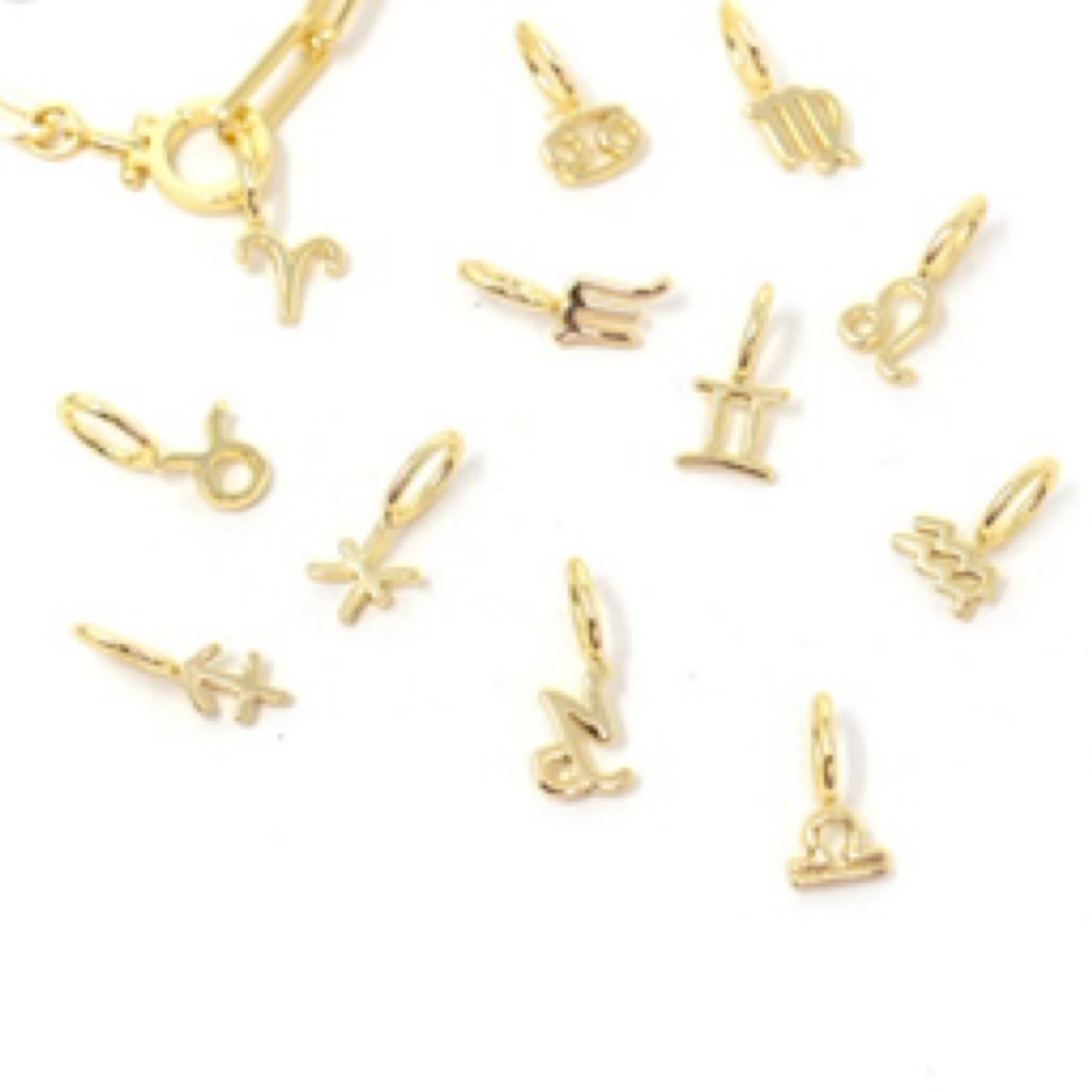 Zodiac Charms