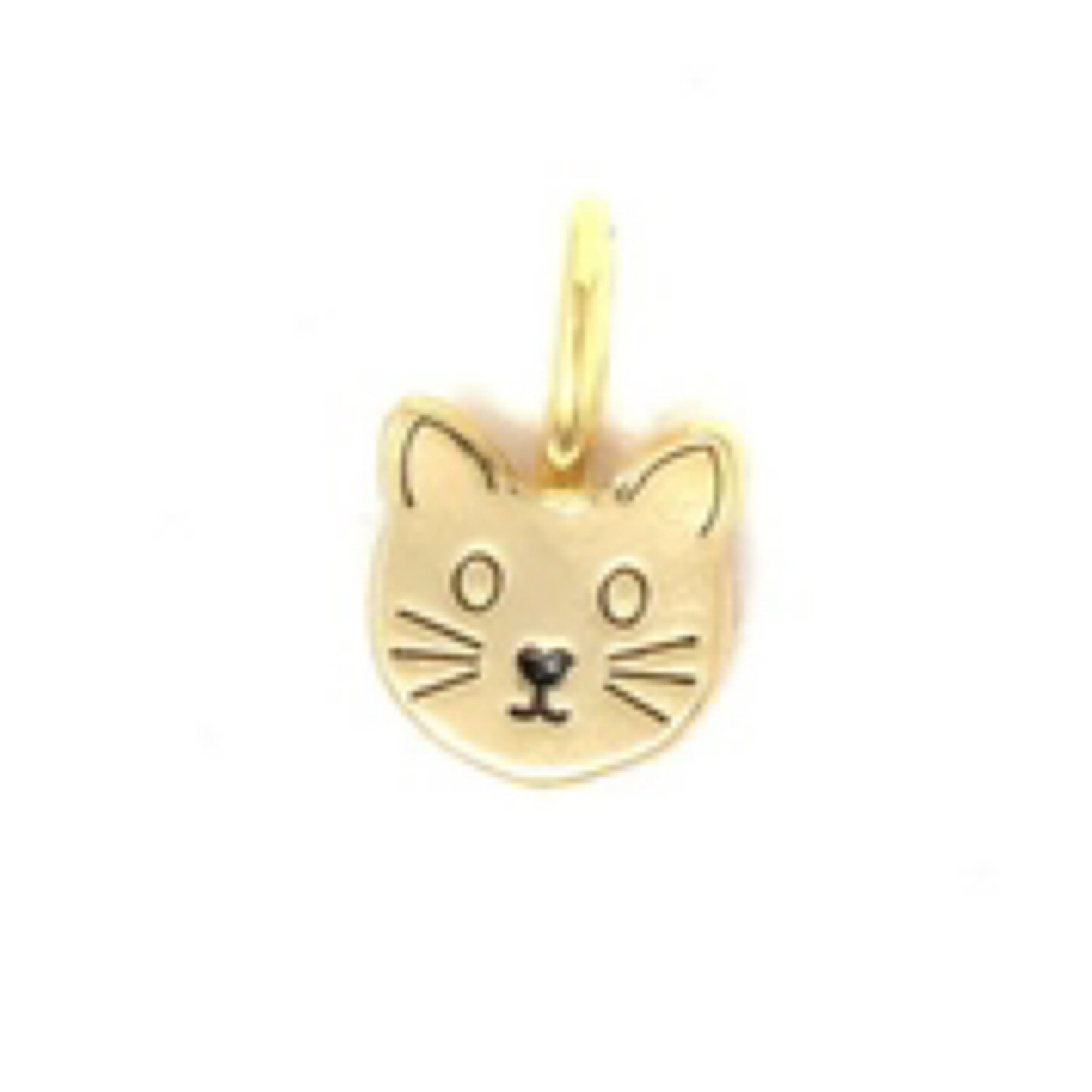 Kitten Charm