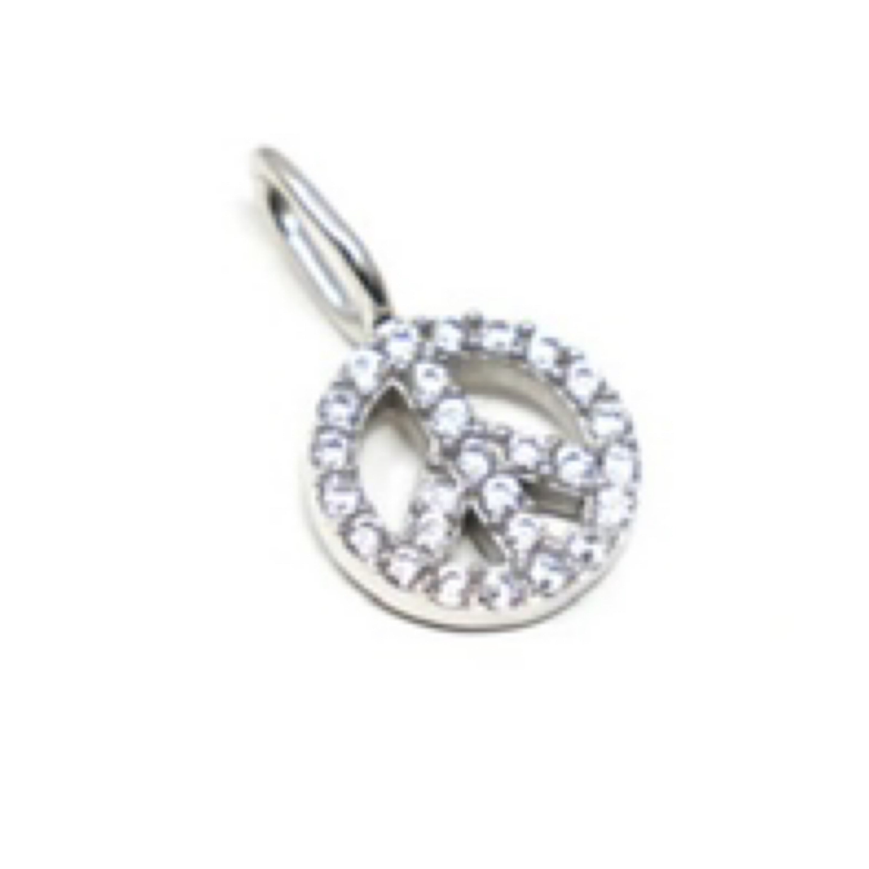 Peace & Love Charm