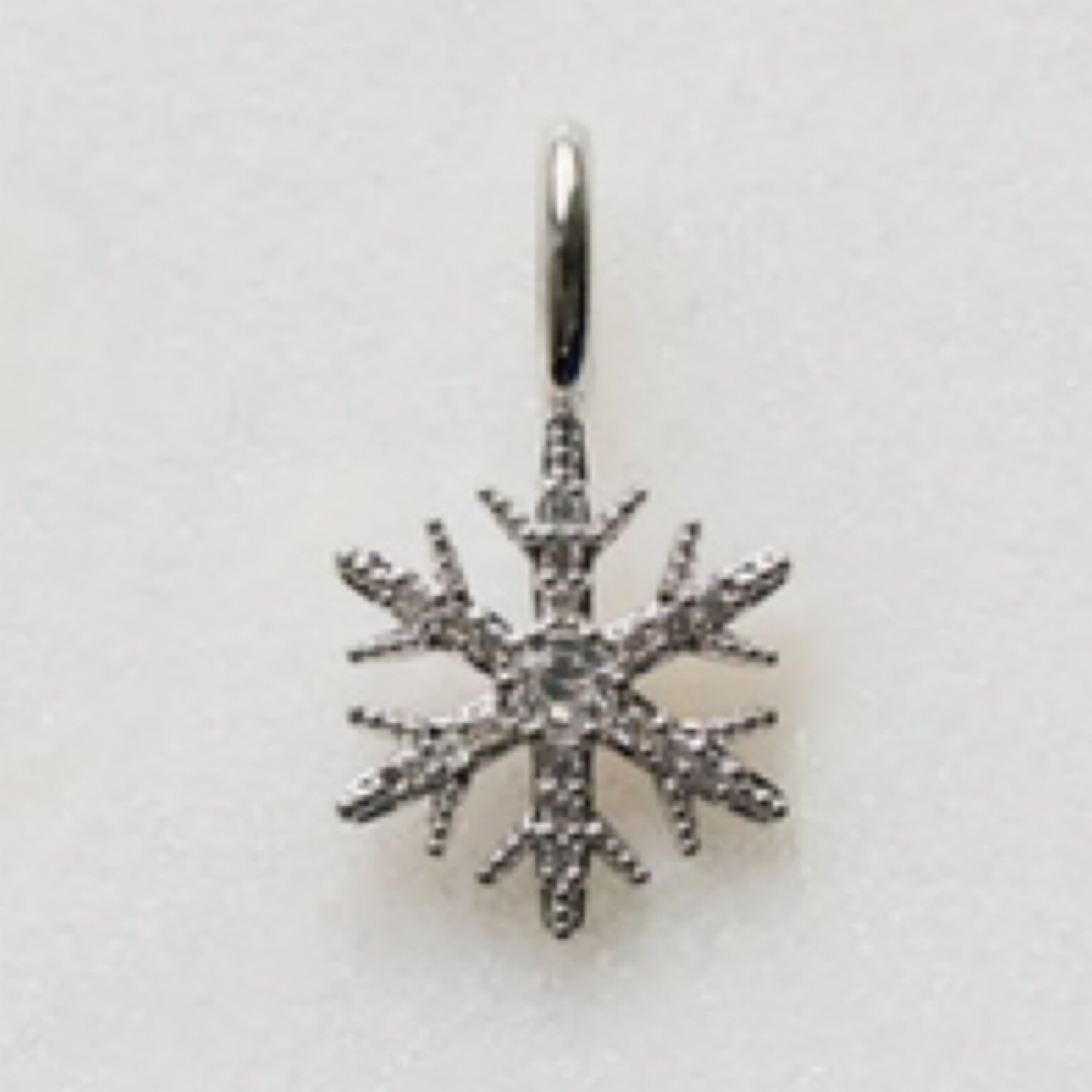 Snowflake Charm
