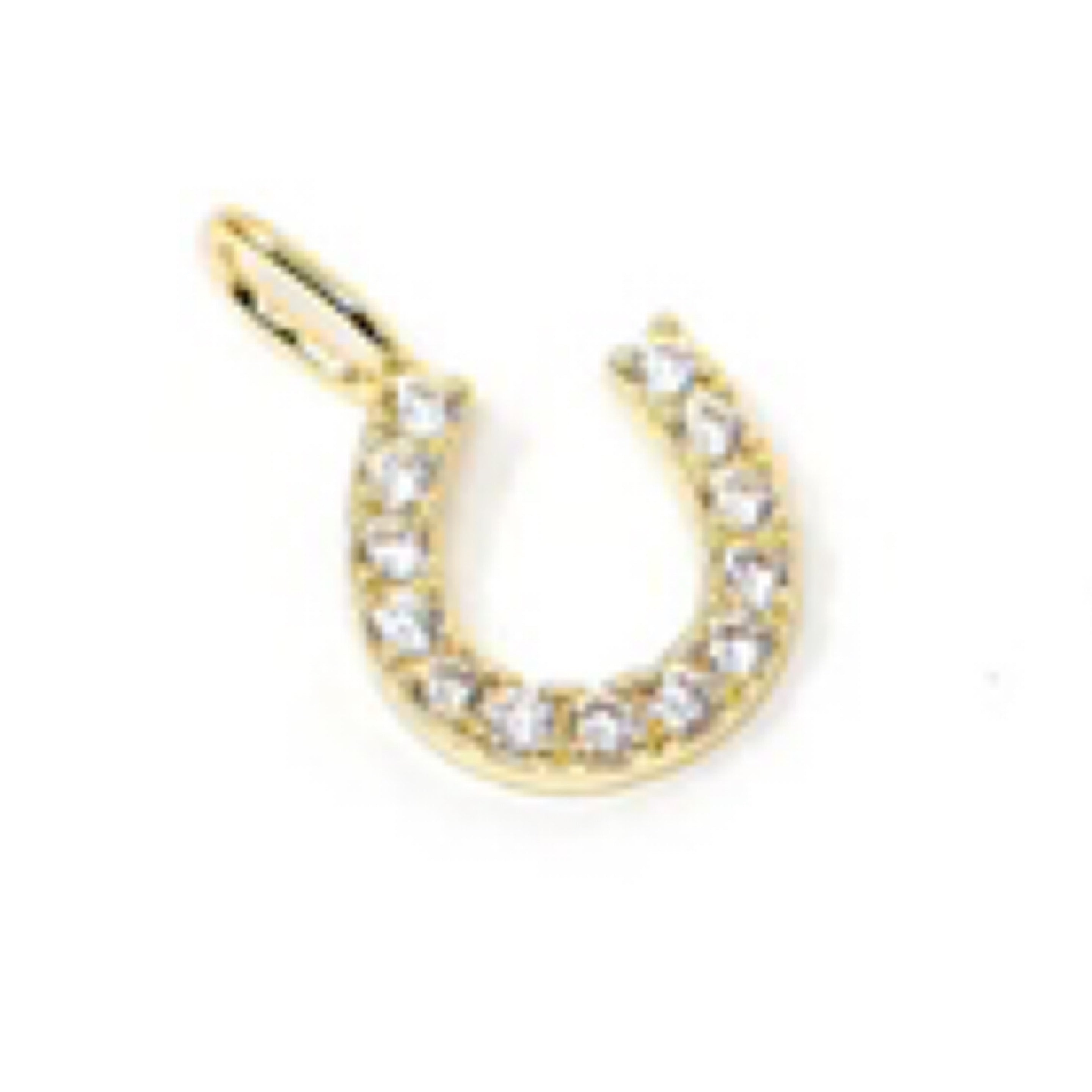 Lucky Horseshoe Charm - Crystal