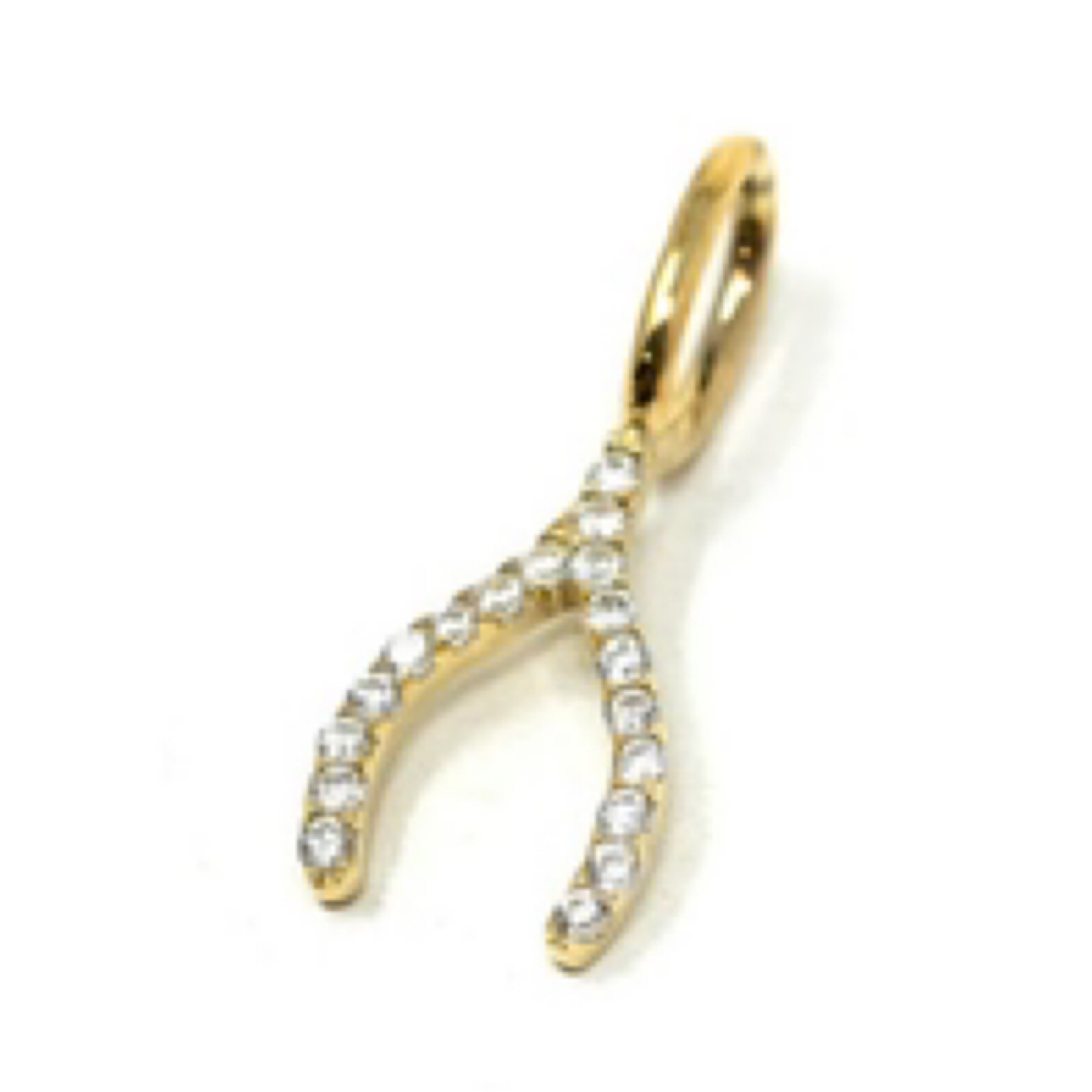 Wishbone Charm